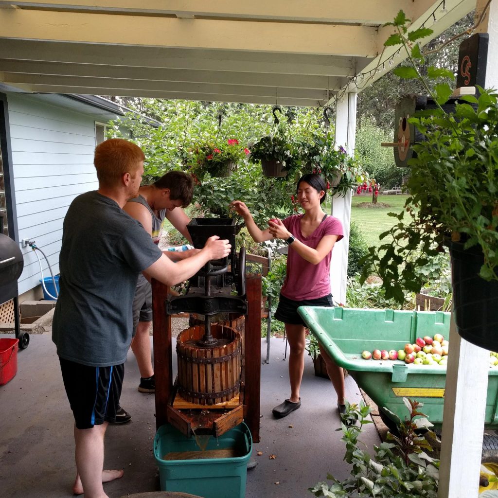 signal-2024-12-22-18-08-33-121-1